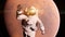An astronaut infront of mars