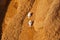 Astronauts climbing a canyon in mars, concept