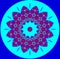 Astroniras Mandala - flower win a bright colors