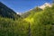 Asulkan Valley Trail, Rogers Pass, British Columbia Canada