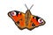 Asymmetric pixel butterfly. Aglais io.