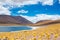 Atacama Altiplana desert, Laguna Miscanti salt lake and mountains landscape, Miniques in Chile, South America