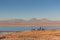 Atacama, Chile - Oct 9th 2017 - Group of tourists appreciating the sunset at the Atacama Desert Salt Flat, blue water, volcano in