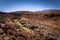 Atacama Desert, Chile - Panorama of the Guatin canyon in the Atacama desert, Chile