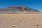Atacama Desert, Chile. Salar Aguas Calientes. Lake Tuyacto