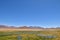 Atacama desert laguna salar panorama Andes chile south america