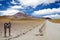 Atacama desert landscape, Chile