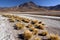 Atacama Desert in Northern Chile