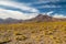 Atacama Desert vegetation and mountains