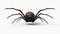 Atacking black spider. suitable for horror, halloween, arachnid and insect themes.