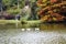 Ataturk Arboretum. Autumn trees around lake.