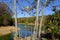 Ataturk Arboretum botanic park on Autumn, Istanbul