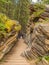 The Athabasca Falls, canyon, and Athabasca River in Jasper National Park