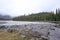 Athabasca Falls in the Rocky Mountains of Canada. Between the cliffs above the water stuck logs. Cloudy day in Jasper