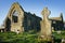 Athenry Dominican Friary with cemetery