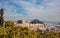 Athens, Greece. Acropolis and Parthenon temple defocused view, blooming plant from Filopappos Hill