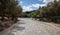 Athens, Greece. Cobblestone pathway to Acropolis and greek flora, in a sunny spring day