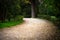 Athens, Greece, national  garden path between trees, vivid colors nature in urban park