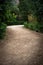Athens, Greece, national  garden path between trees, vivid colors nature in urban park