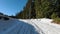 An athlete does cross country skiing workout on a beautiful morning along snowy track among bare trees by evergreen