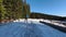 An athlete does cross country skiing workout on a beautiful morning along snowy track among bare trees by evergreen