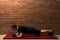 Athlete in the hall doing an exercise on a red mat for training a press against a brick wall background