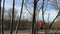 Athlete in red to clothes runs on asphalt and the camera removes him being in the forest.