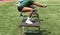 Athletes jumping on to plyo boxes outdoors on a turf field