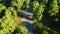 Athletes run a marathon on the road in the park on a sunny morning. Aerial overall view