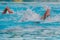 Athletes swimming freestyle on a swimming pool