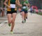 athletes taking part in a cross-country race