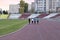 Athletes training on Dinamo stadion 