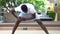 Athletic African American man in doing stretching exercise while training in park on sunny day