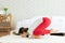 Athletic Asian woman practice yoga yoga Baby Crow or Baby Bakasana pose to meditation in bedroom