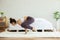 Athletic Asian woman practice yoga yoga Baby Crow or Baby Bakasana pose to meditation in bedroom after wake up in the morning