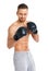 Athletic attractive man wearing boxing gloves on the white