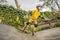 Athletic boy in helmet and knee pads learns to skateboard with in a skate park. Children education, sports