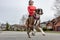 Athletic Caucasian Adult Woman Running outside with a Boxer Dog.