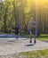 Athletic caucasian male runner on wooden trail under sunlight