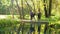 Athletic girls jogging across bridge over river in city park