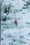 Athletic man in climbing a large blue wall of ice in Finland