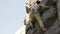 Athletic man rock climber climbs on a cliff, reaching and gripping hold.