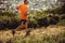 Athletic man running on a hill