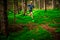 Athletic man running on trail through green forest