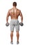 athletic man showing muscular body with dumbbells, rear view, full length, isolated over white background. Strong male naked