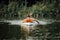 Athletic man swimming on a paddleboard