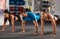 Athletic people doing crossfit training