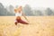 Athletic stretching runner girl before jogging in morning in park