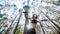 athletic woman, coach, instructor, performs, doing exercises. In pine forest, in summer, in sun rays. View from below