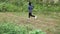 Athletic woman running on forest trail. Female runners running in nature in the morning. Workout Healthy lifestyle concept.